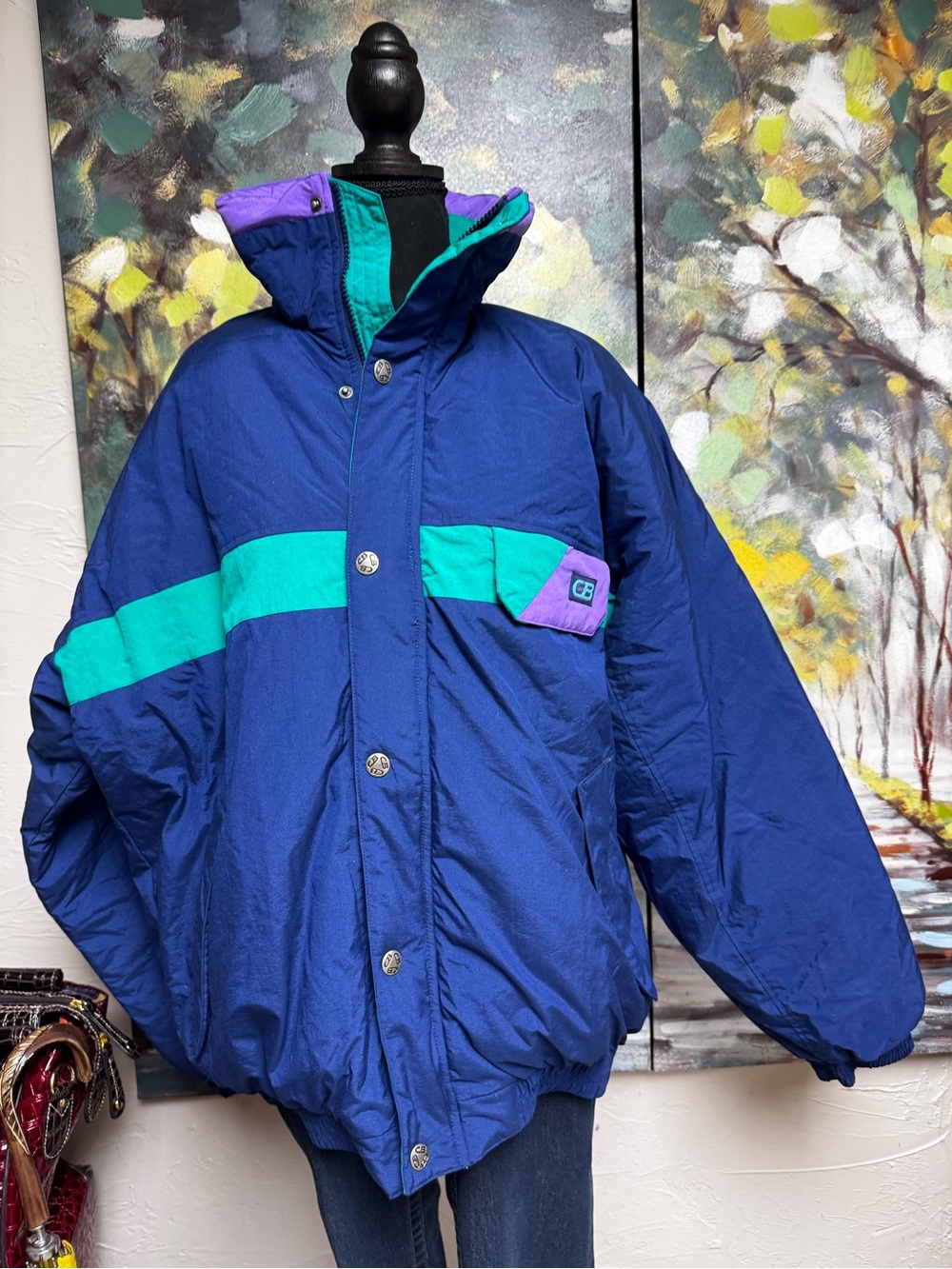 CB SPORTS Vintage Ski Snowboard Jacket Mens L Retro 90s